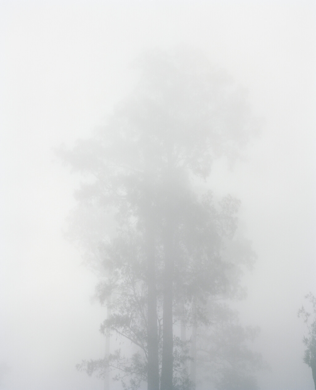 164° on the Equator - © Charles Negre