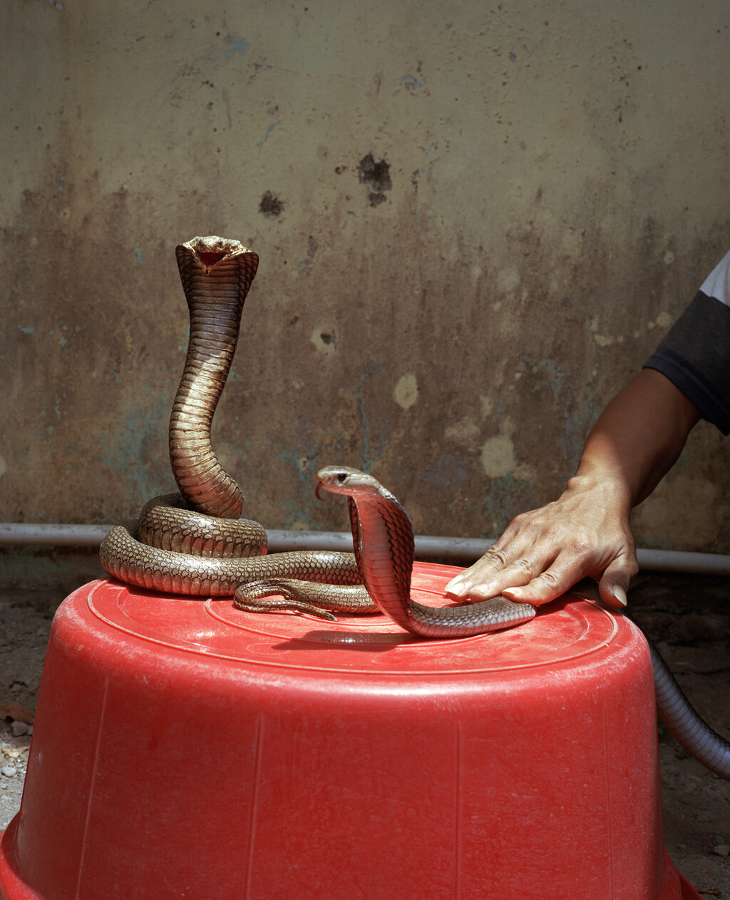 164° on the Equator - © Charles Negre