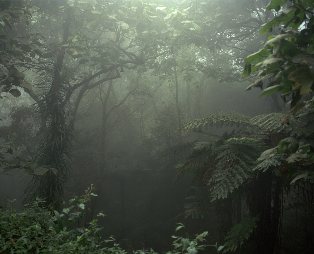 164° on the Equator - © Charles Negre