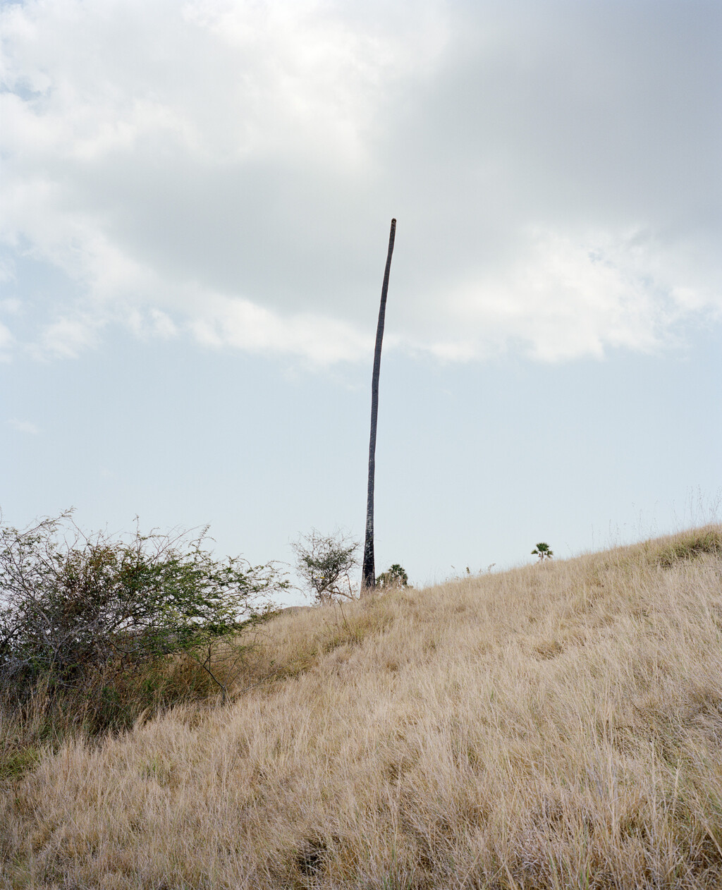 164° on the Equator - © Charles Negre