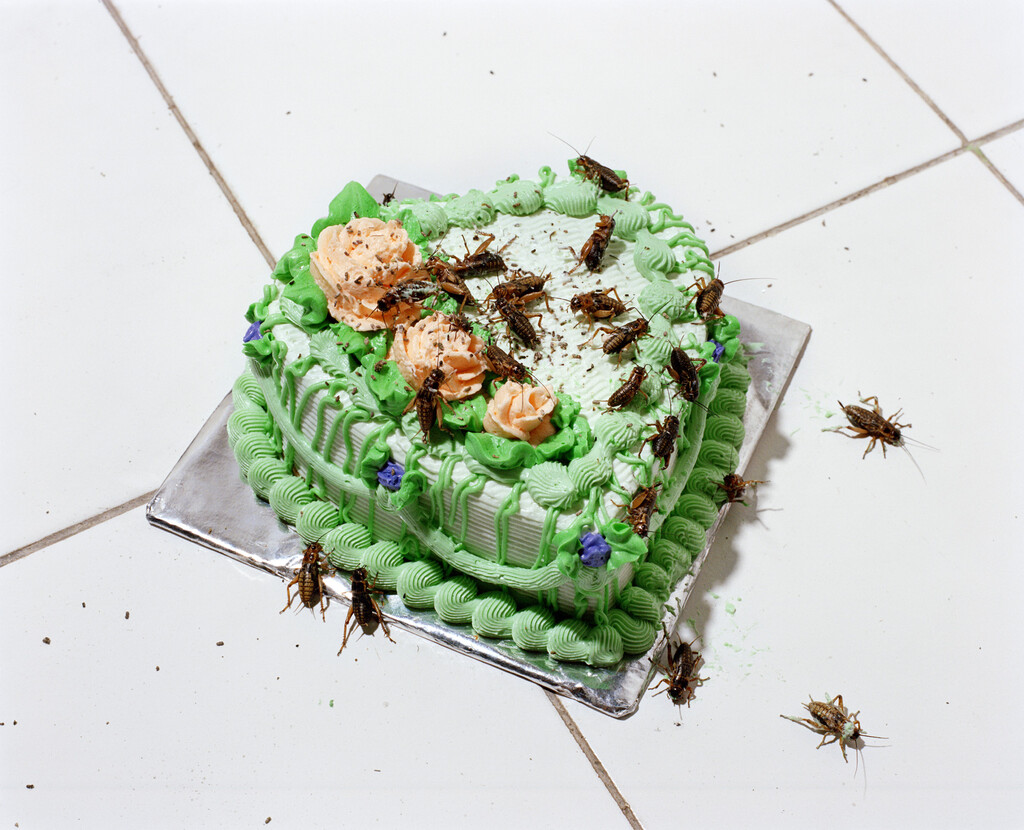 164° on the Equator - © Charles Negre