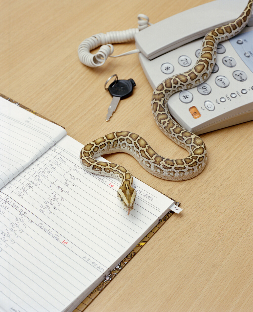 164° on the Equator - © Charles Negre