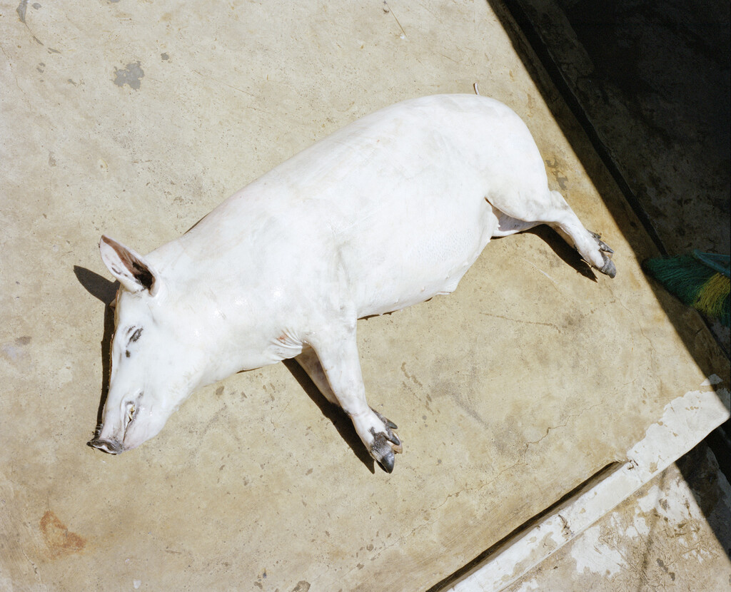 164° on the Equator - © Charles Negre