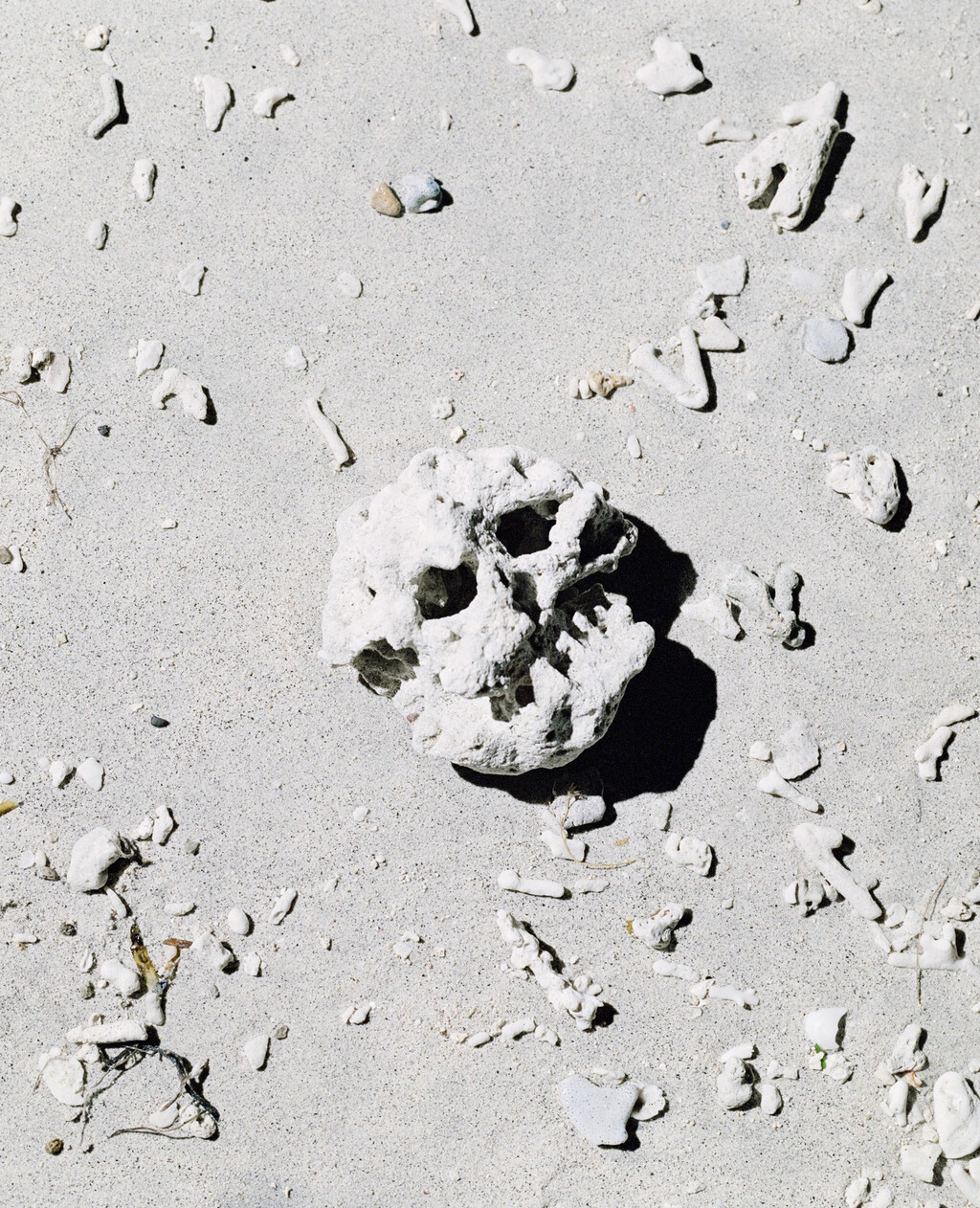 164° on the Equator - © Charles Negre