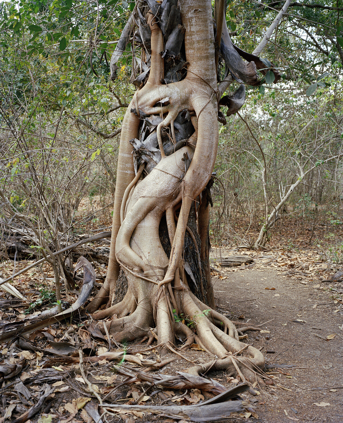 164° on the Equator - © Charles Negre