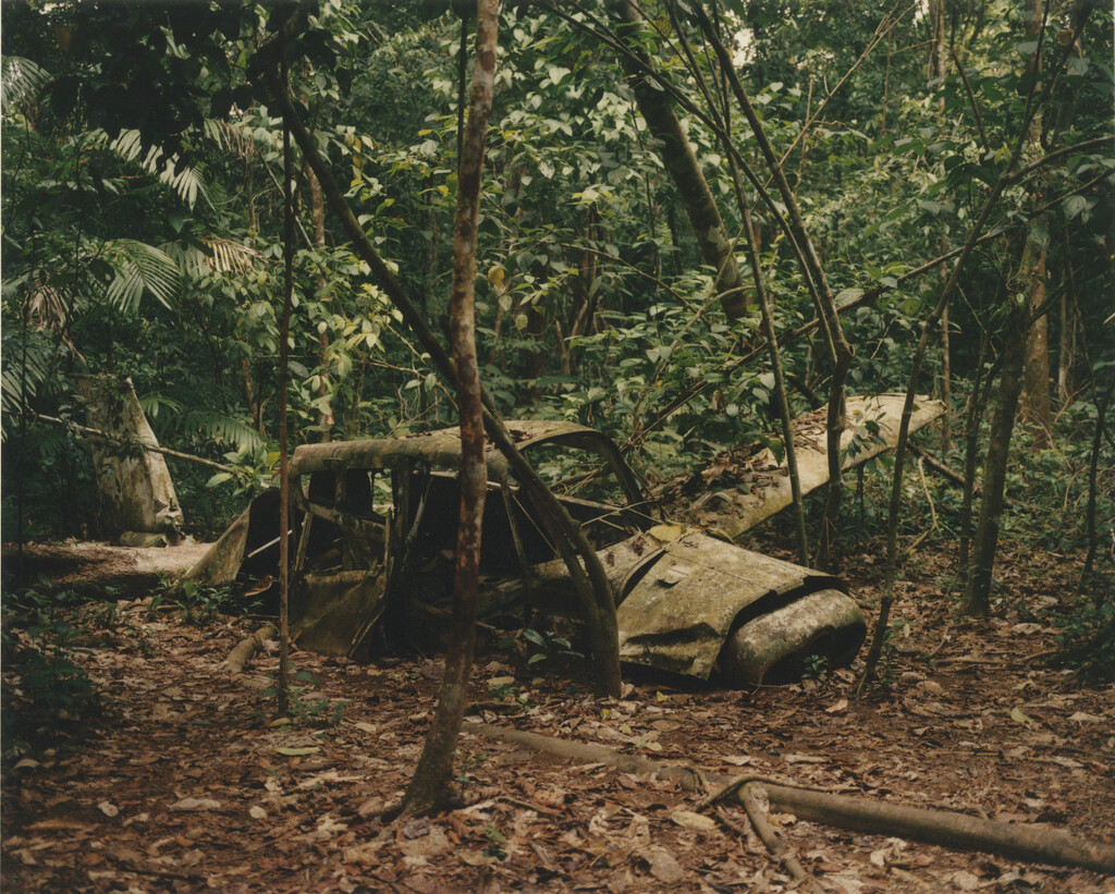 Aguanacaste - © Charles Negre