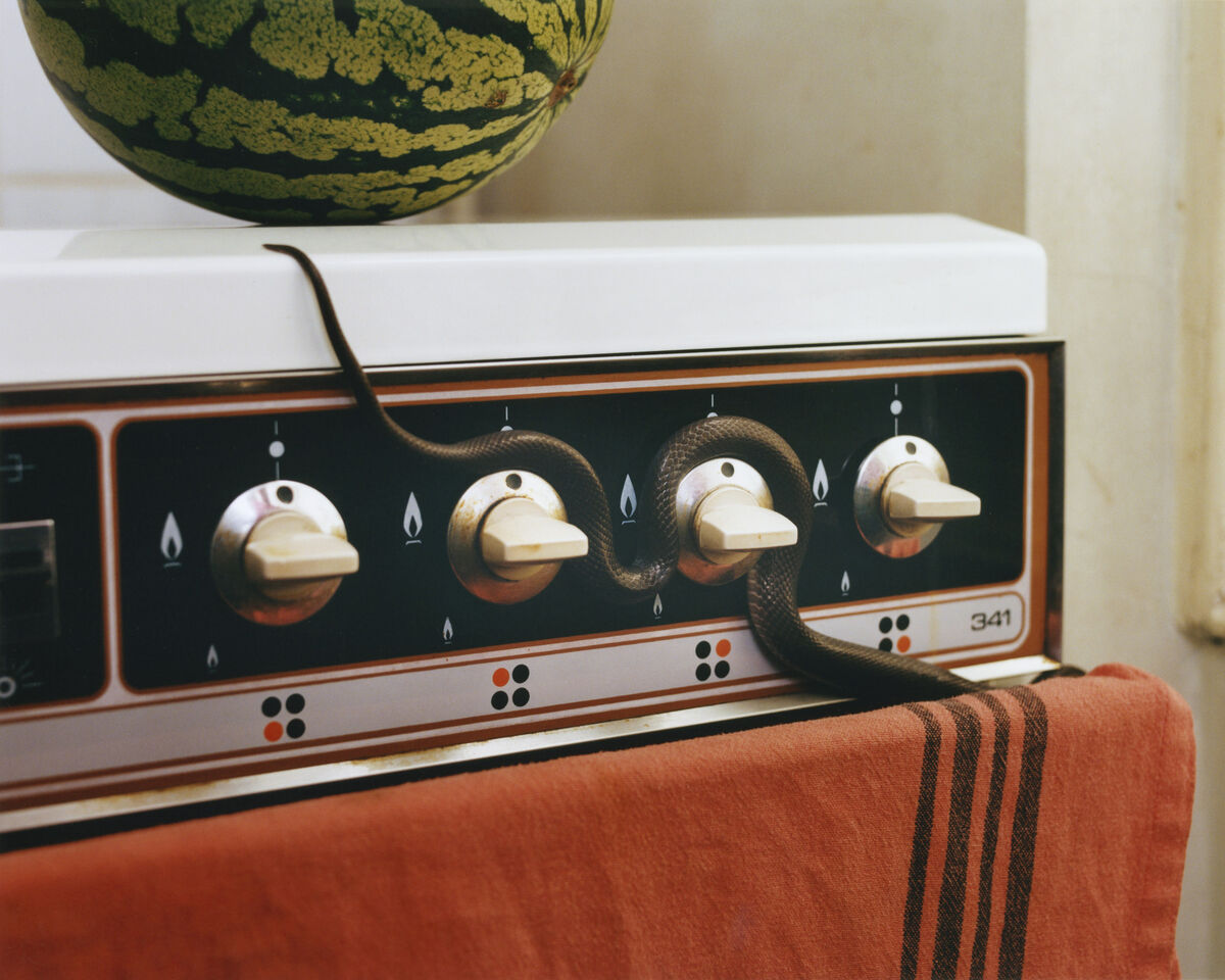 Deadly Pets - © Charles Negre