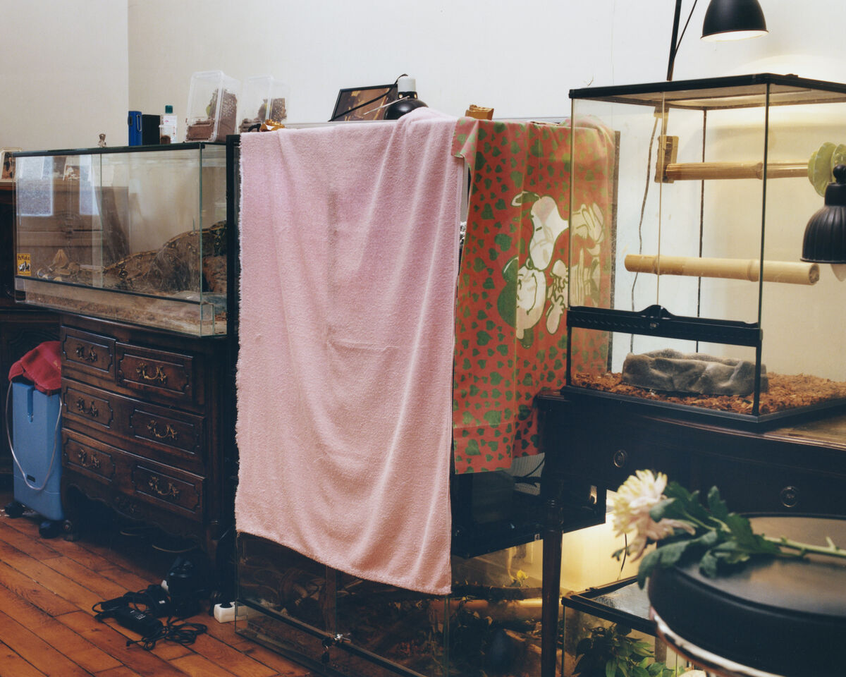 Deadly Pets - © Charles Negre