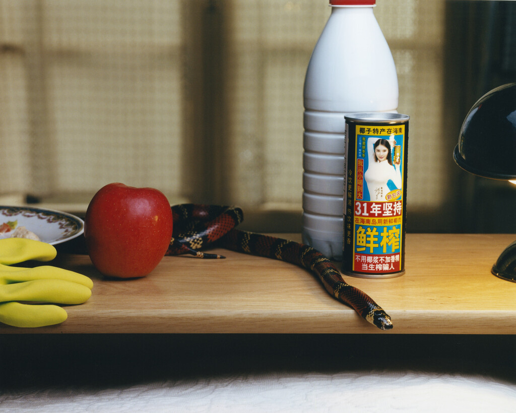 Deadly Pets - © Charles Negre