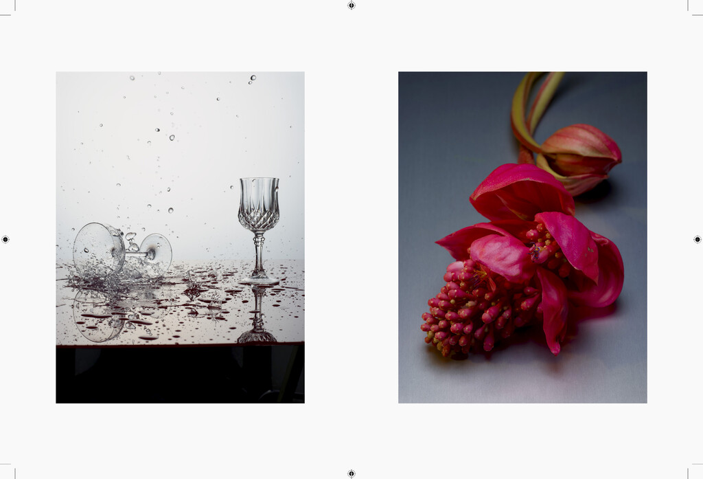 Negre Briere - © Charles Negre