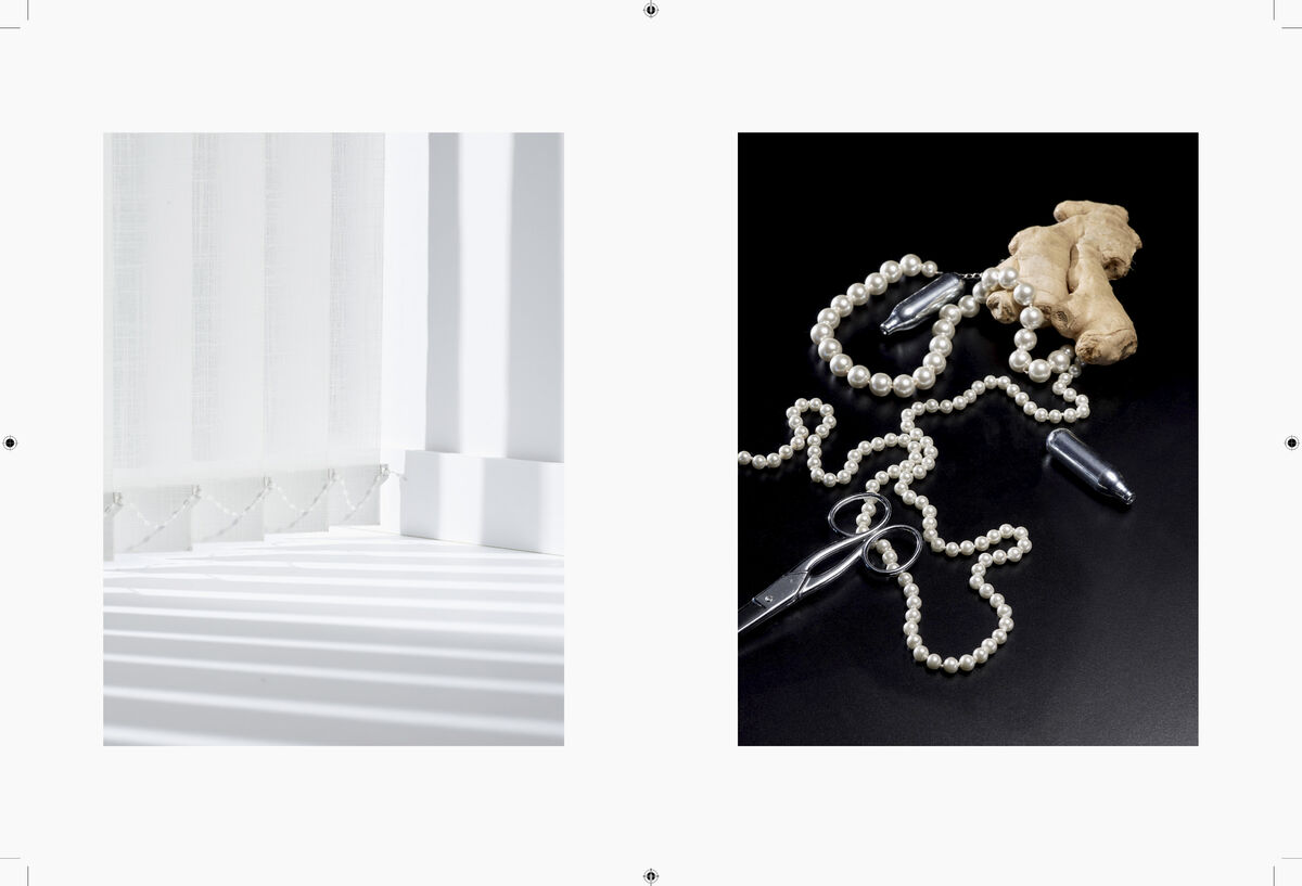 Negre Briere - © Charles Negre