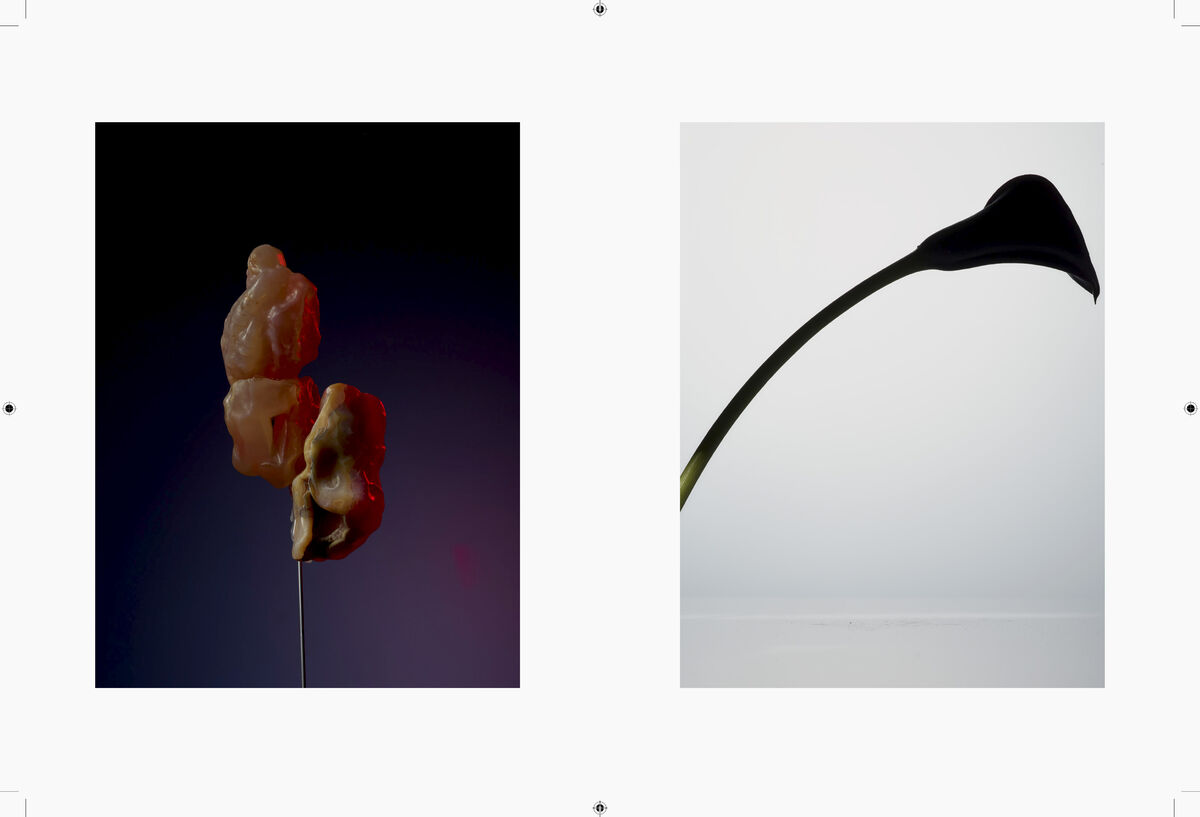 Negre Briere - © Charles Negre