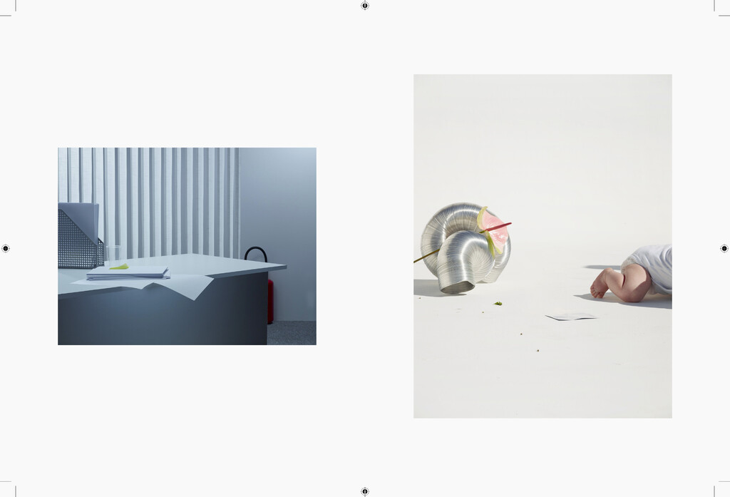 Negre Briere - © Charles Negre