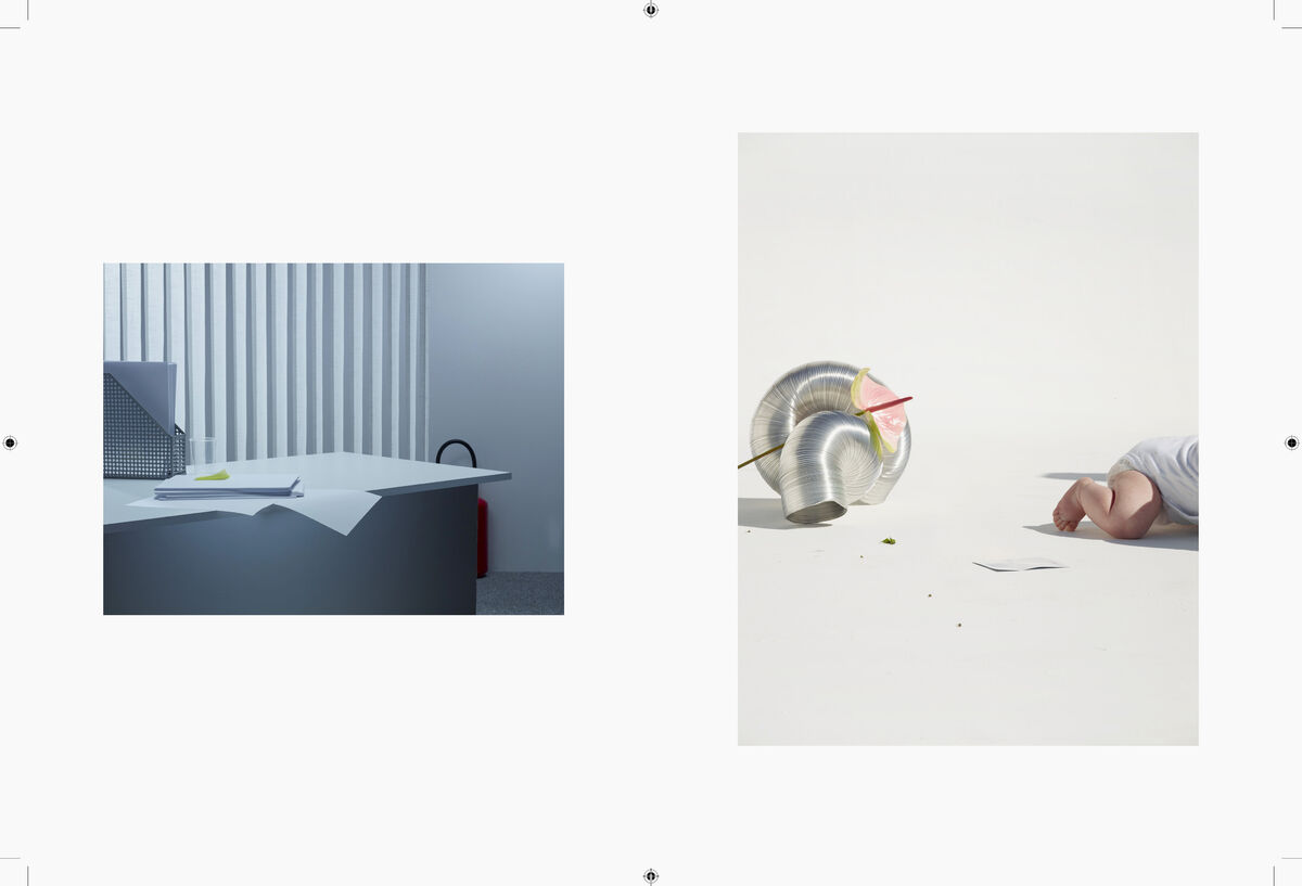 Negre Briere - © Charles Negre