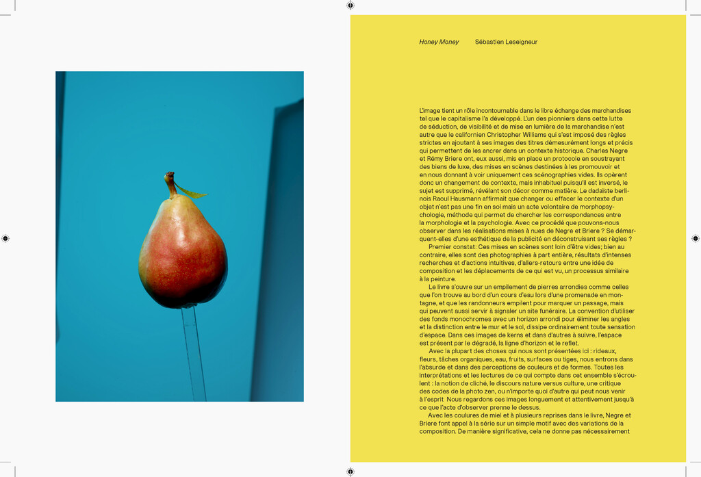 Negre Briere - © Charles Negre