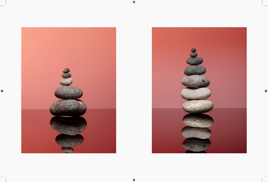 Negre Briere - © Charles Negre