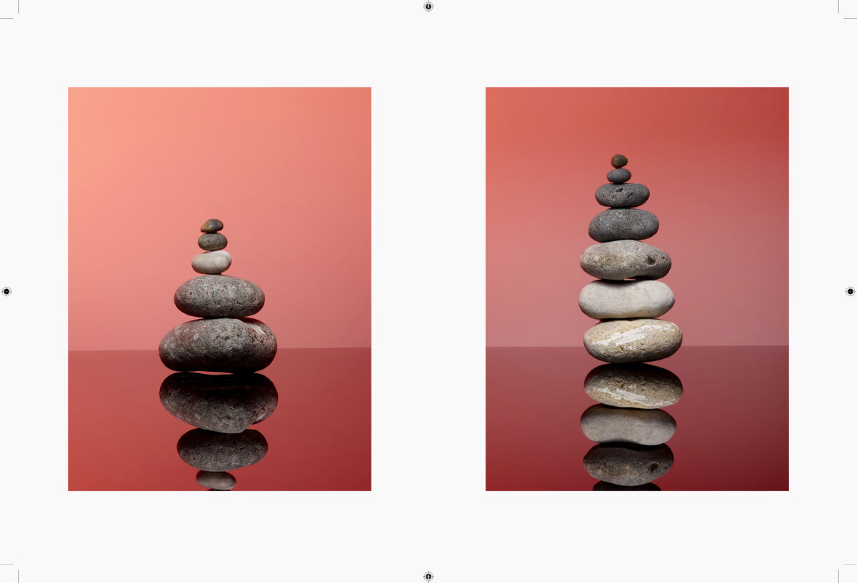 Negre Briere - © Charles Negre