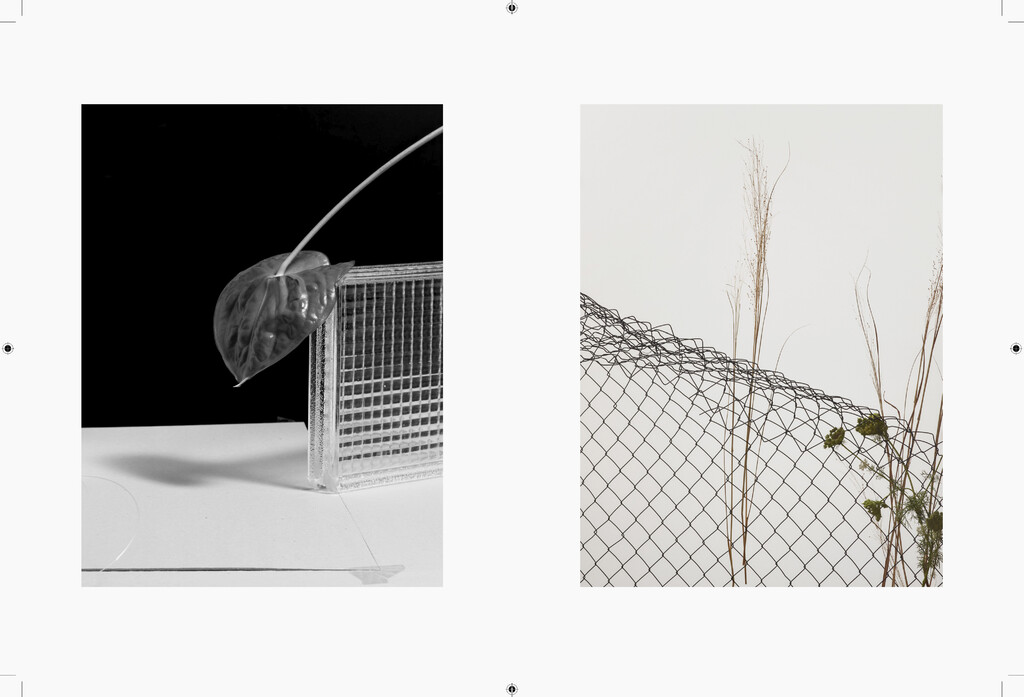 Negre Briere - © Charles Negre