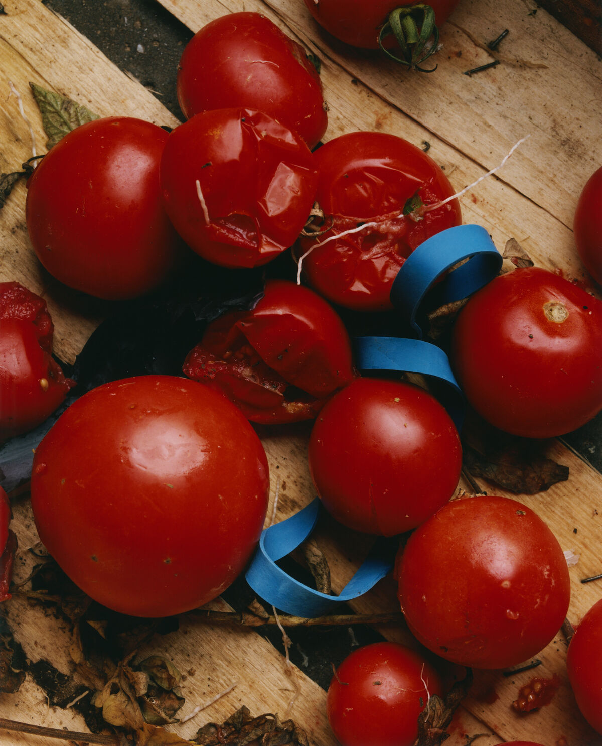 Sidewalk Stills - © Charles Negre