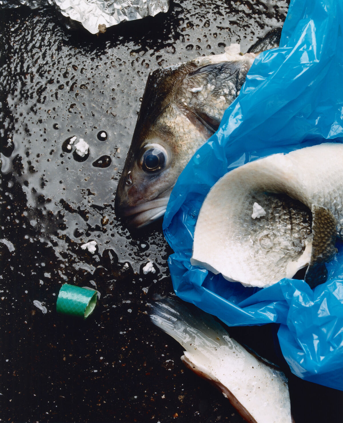 Sidewalk Stills - © Charles Negre