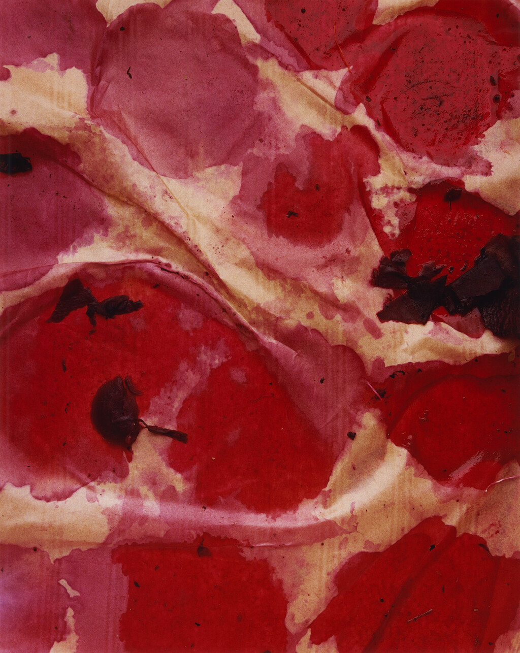 Sidewalk Stills - © Charles Negre