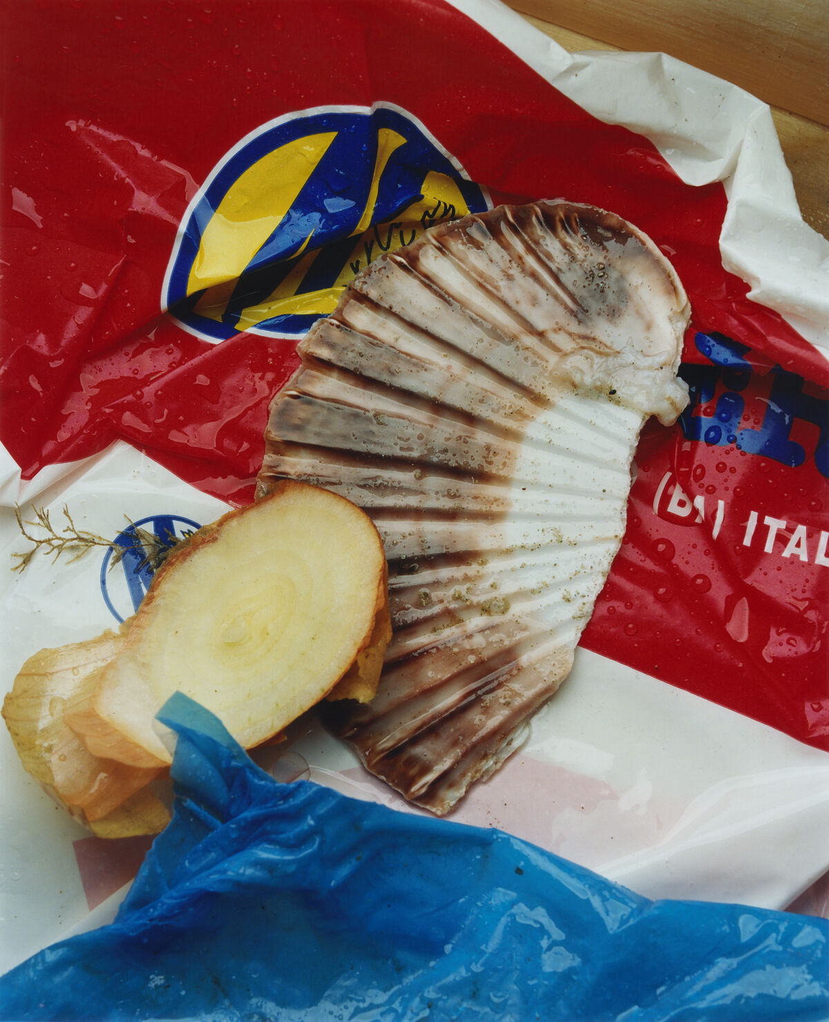 Sidewalk Stills - © Charles Negre