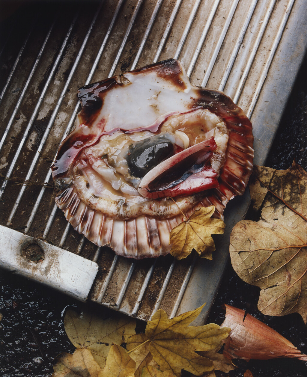 Sidewalk Stills - © Charles Negre