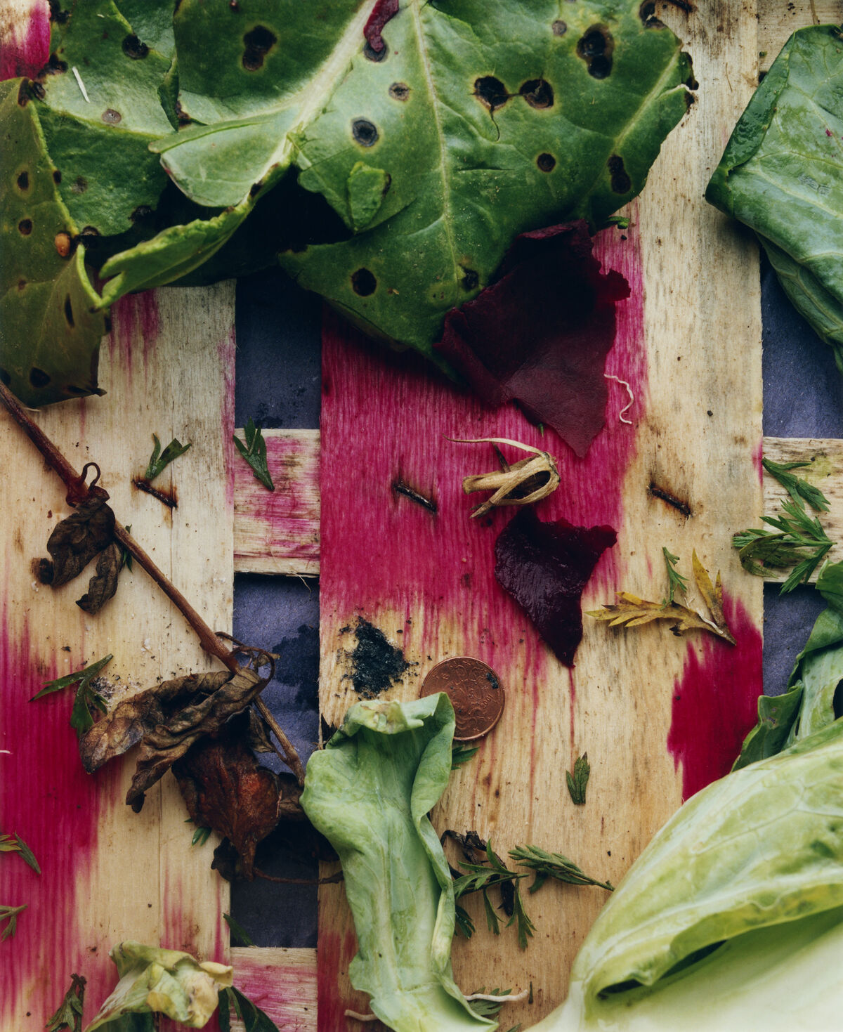 Sidewalk Stills - © Charles Negre