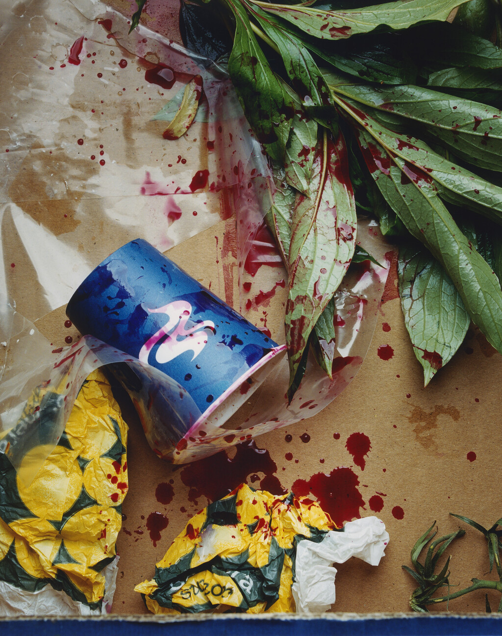 Sidewalk Stills - © Charles Negre