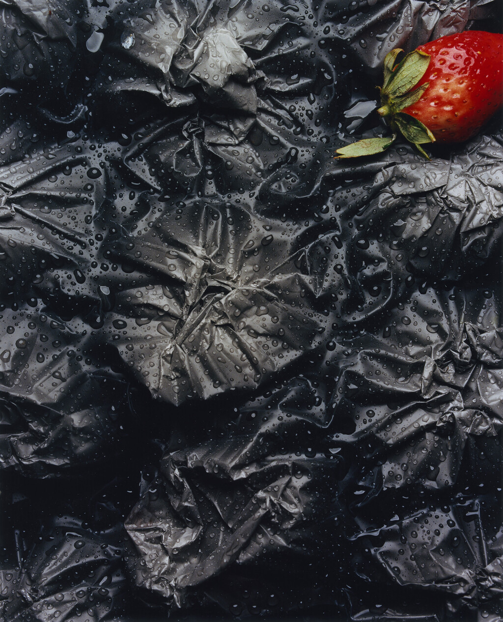 Sidewalk Stills - © Charles Negre