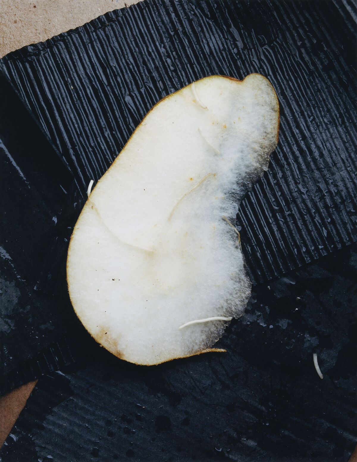 Sidewalk Stills - © Charles Negre