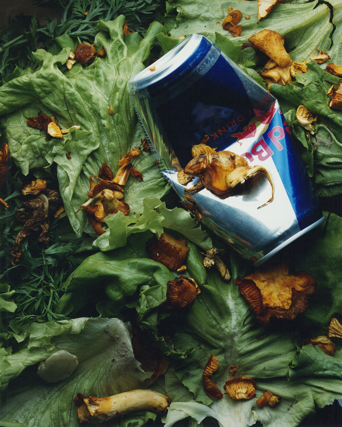 Sidewalk Stills - © Charles Negre