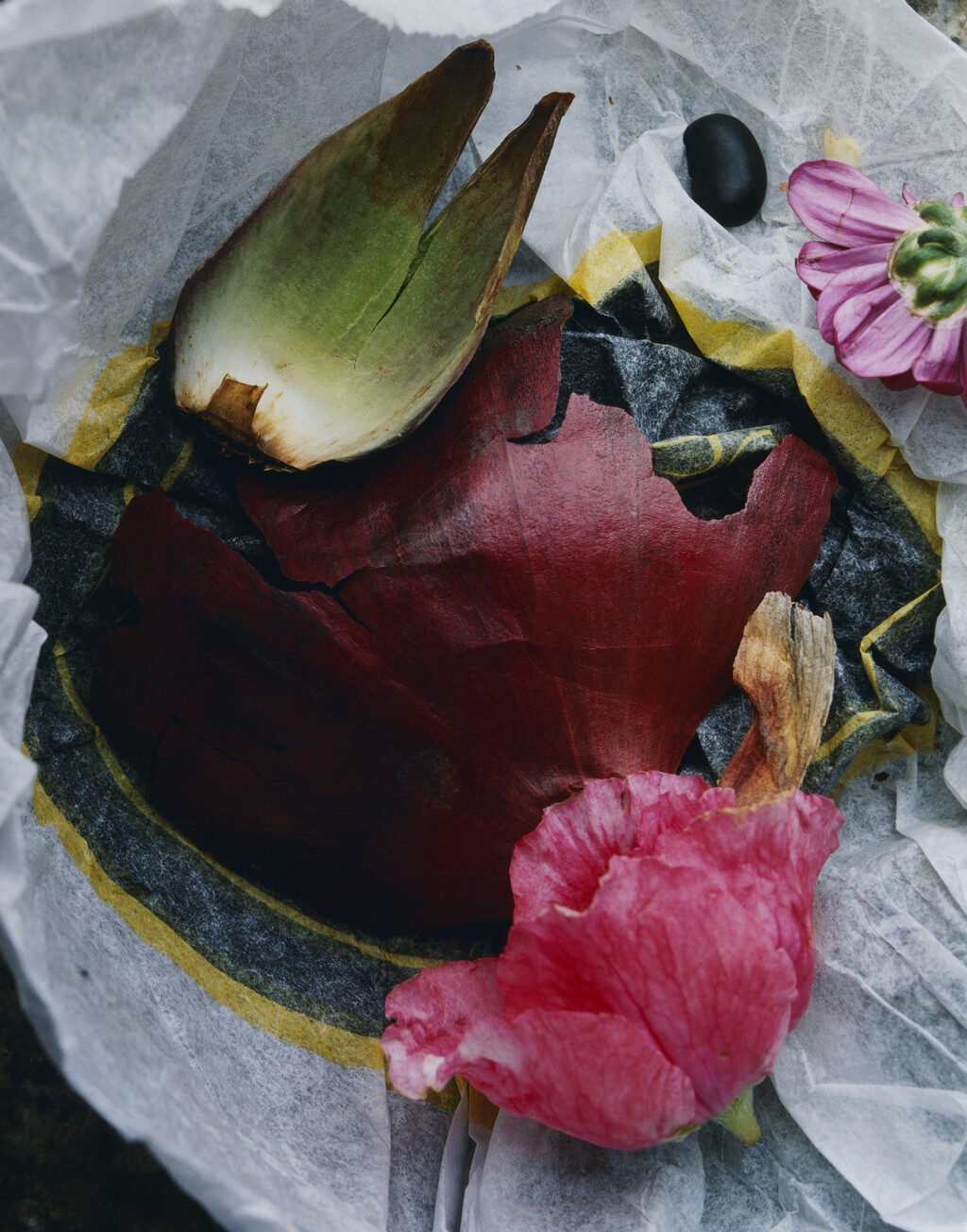 Sidewalk Stills - © Charles Negre