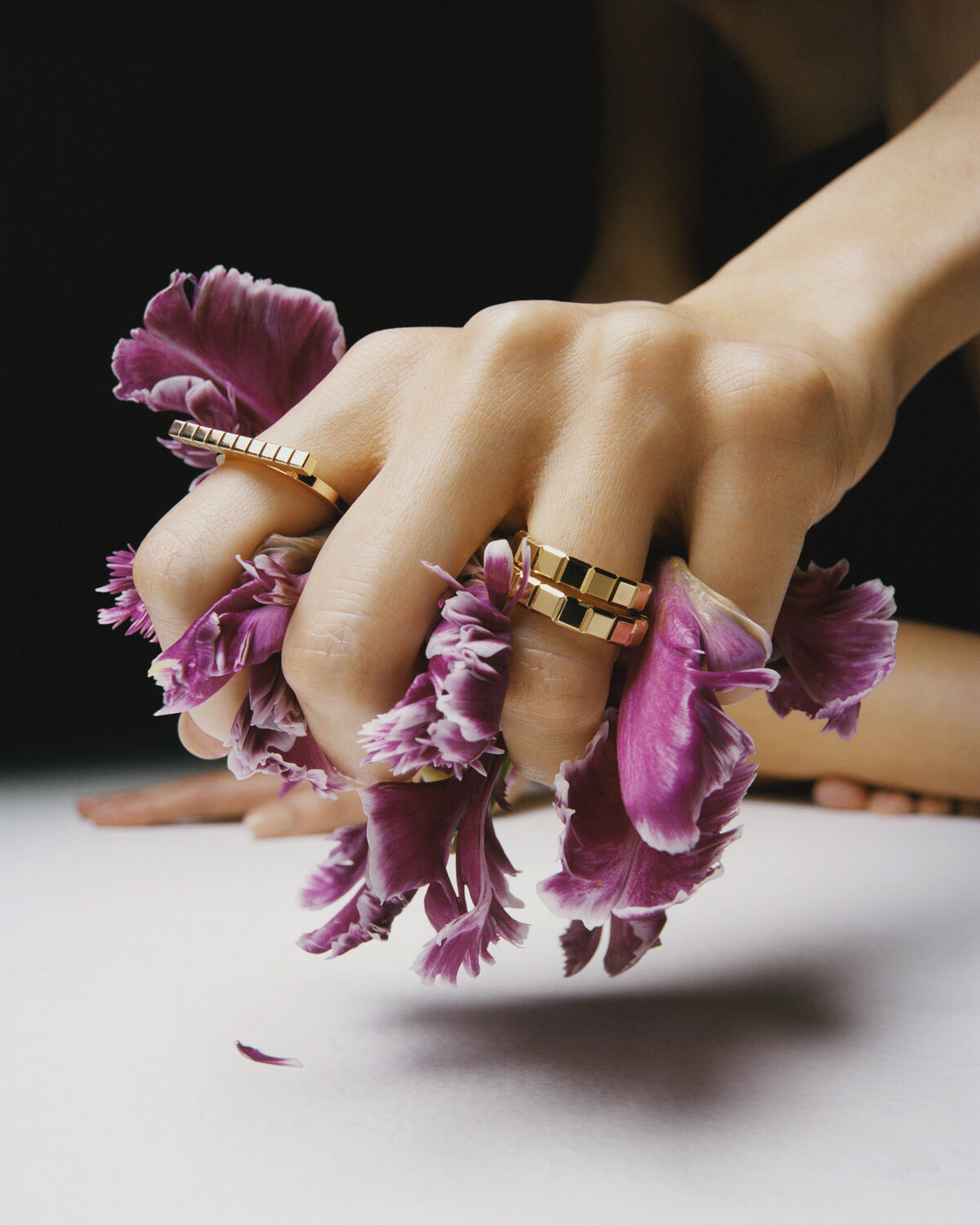 Bolero - © Charles Negre