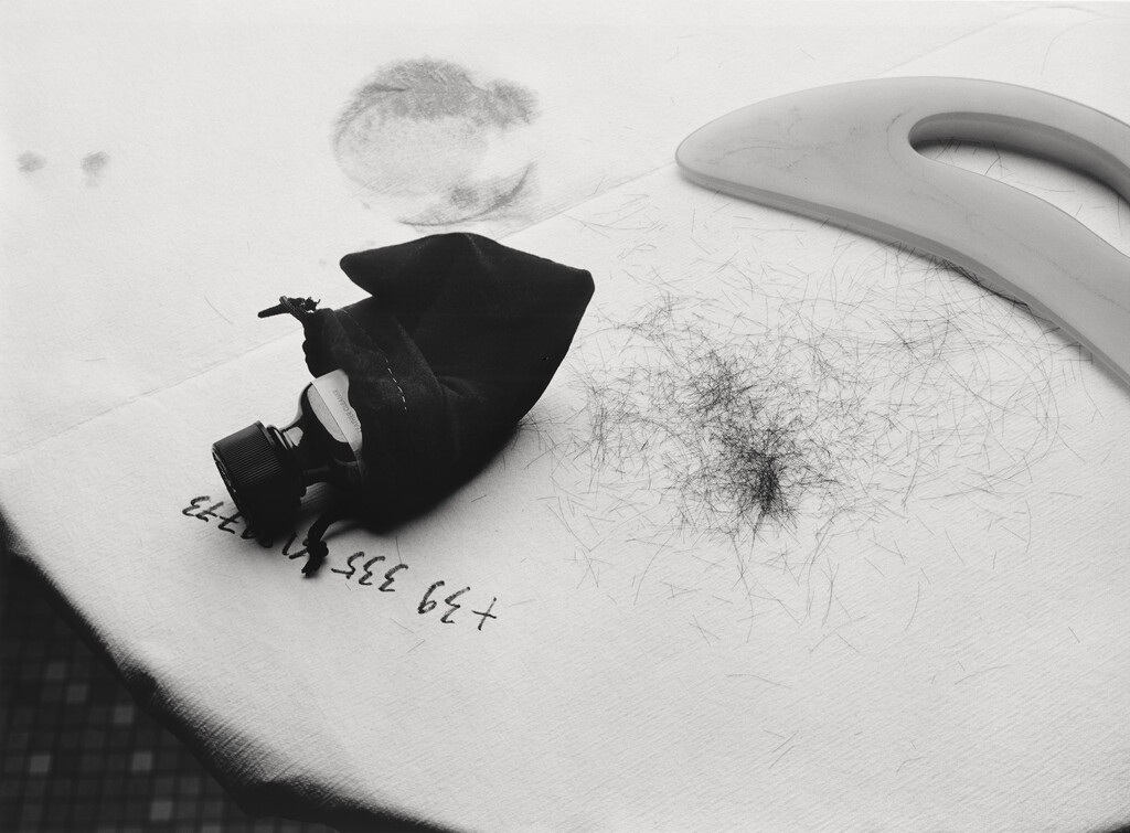 Buffalozine BW - © Charles Negre