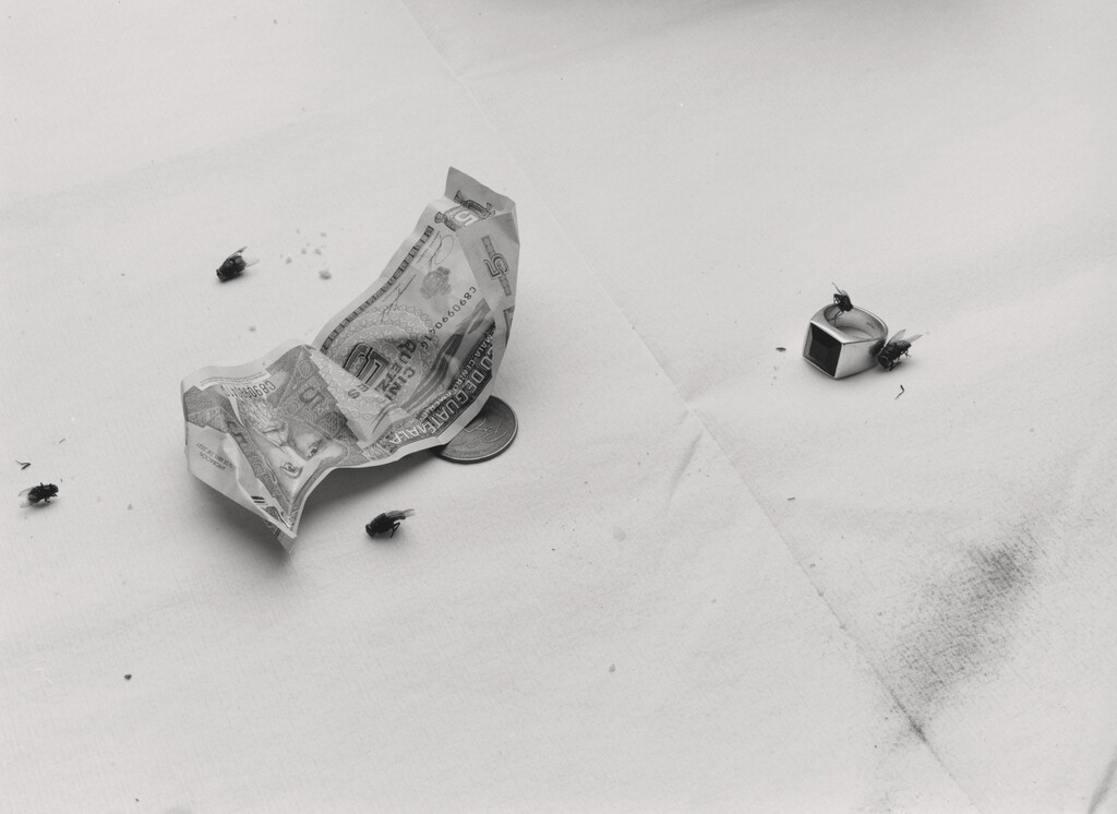 Buffalozine BW - © Charles Negre