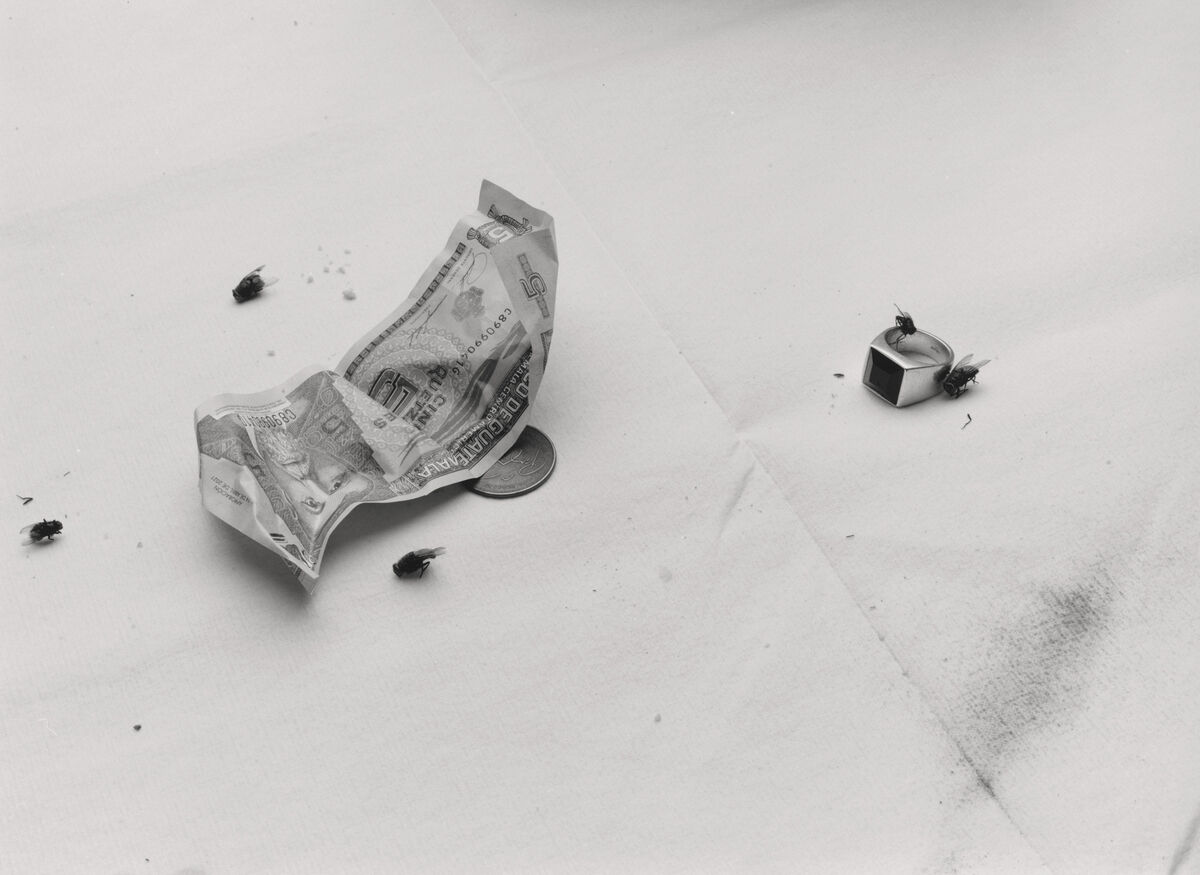 Buffalozine BW - © Charles Negre