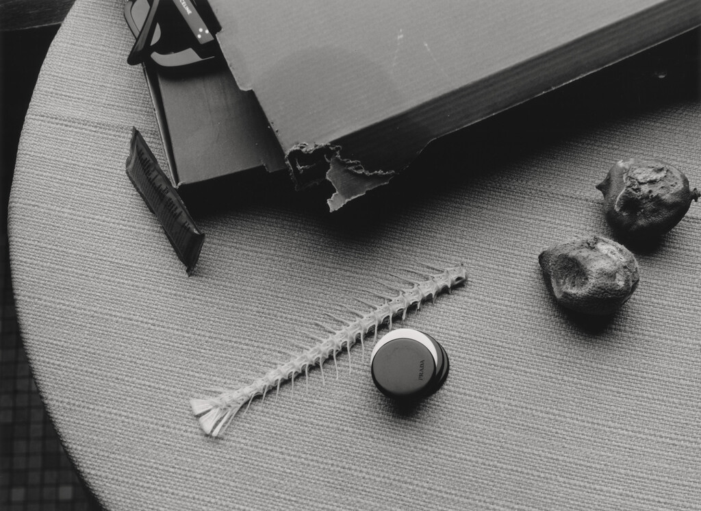 Buffalozine BW - © Charles Negre