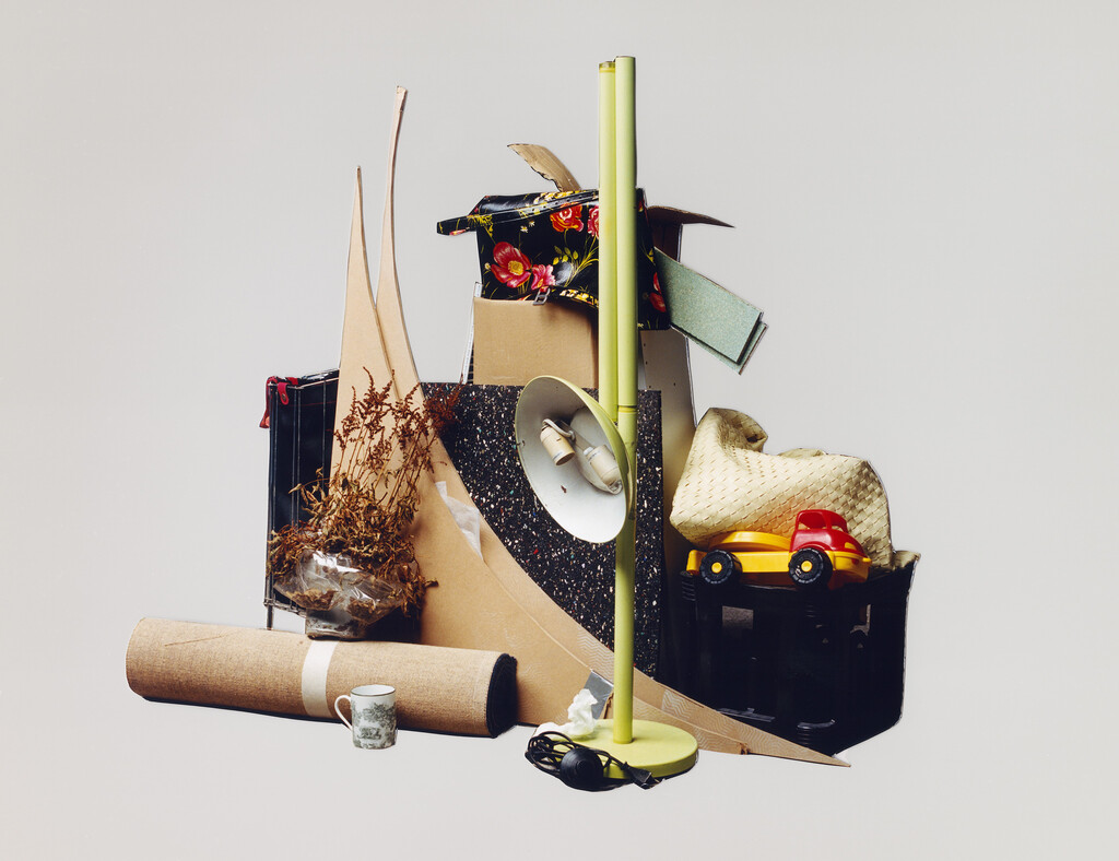 Buffalozine Stray - © Charles Negre