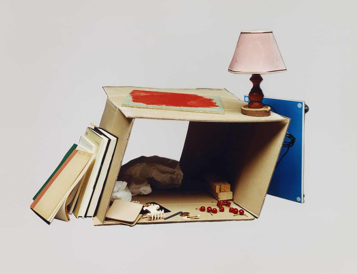 Buffalozine Stray - © Charles Negre