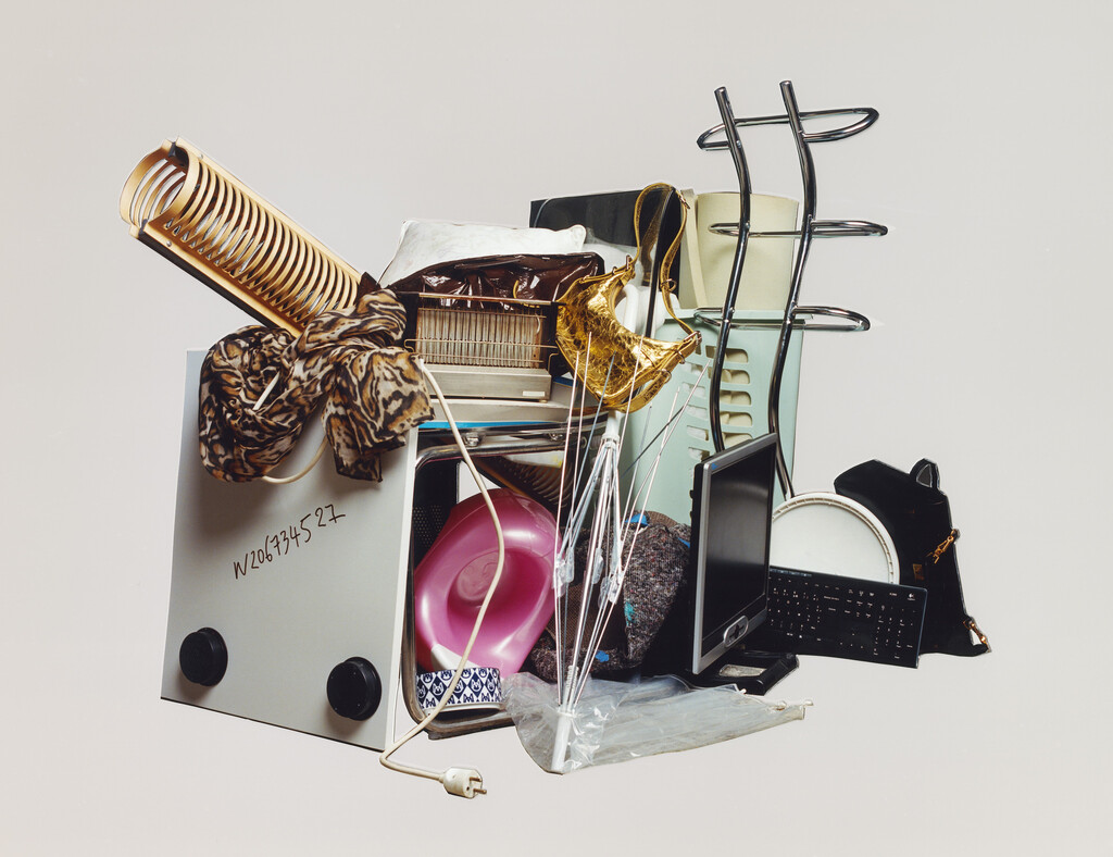 Buffalozine Stray - © Charles Negre