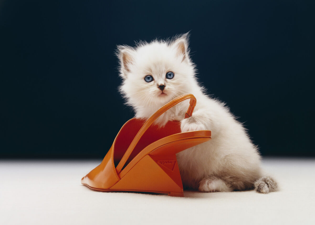 Elle US - © Charles Negre