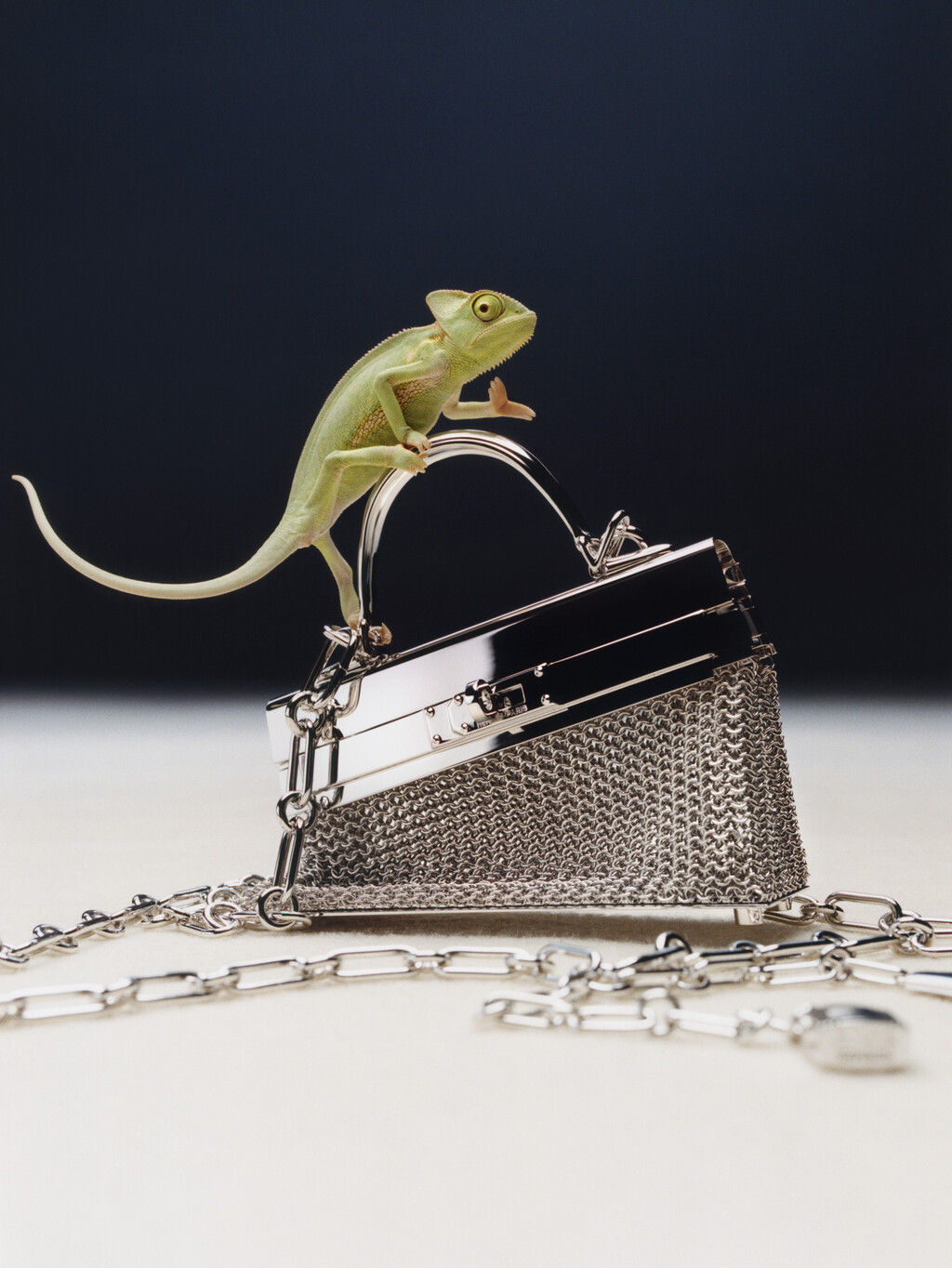 Elle US - © Charles Negre