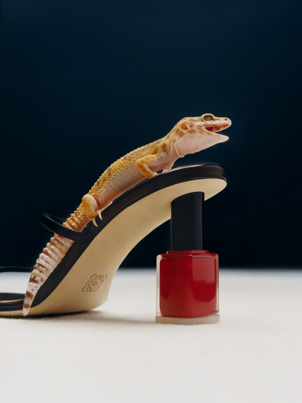 Elle US - © Charles Negre