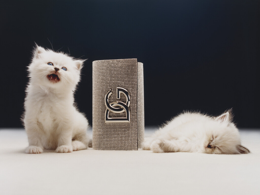 Elle US - © Charles Negre