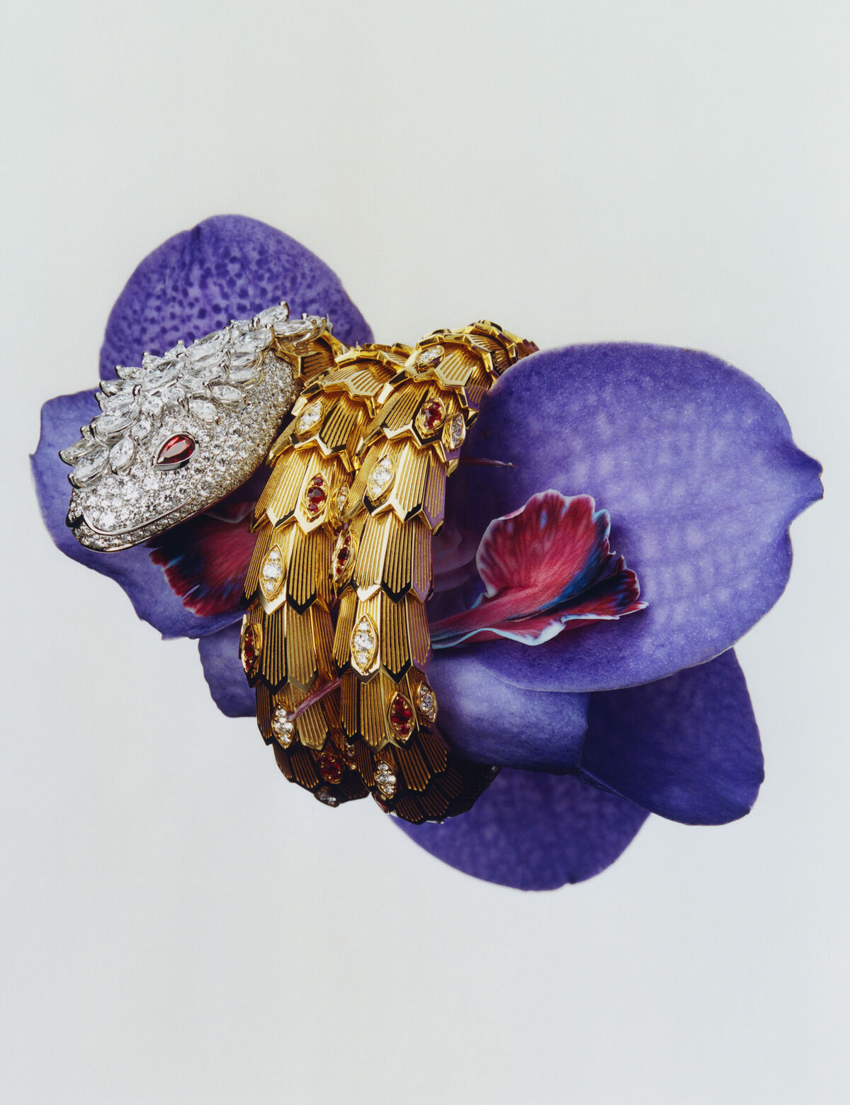 Harpers Bazaar - © Charles Negre