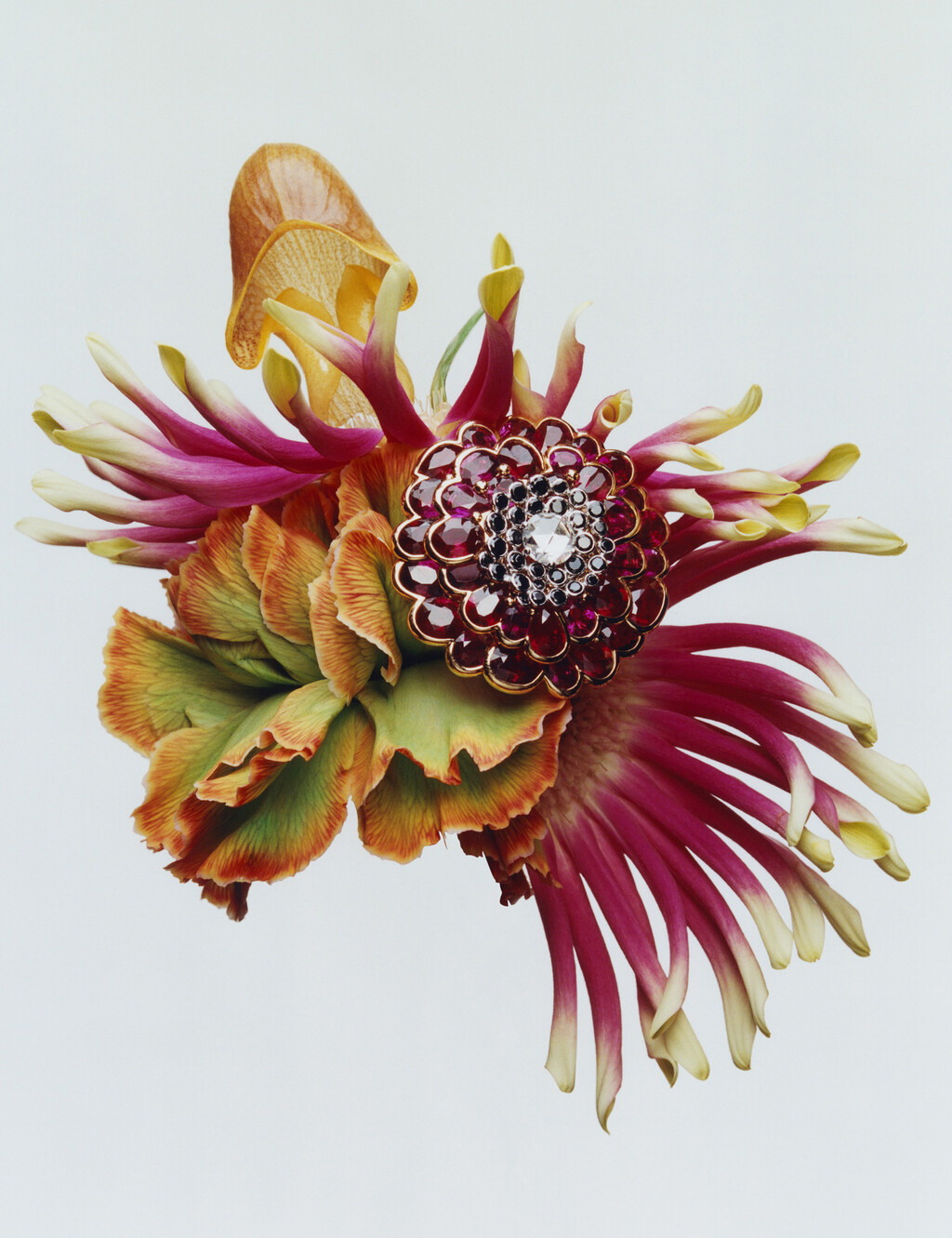 Harpers Bazaar - © Charles Negre