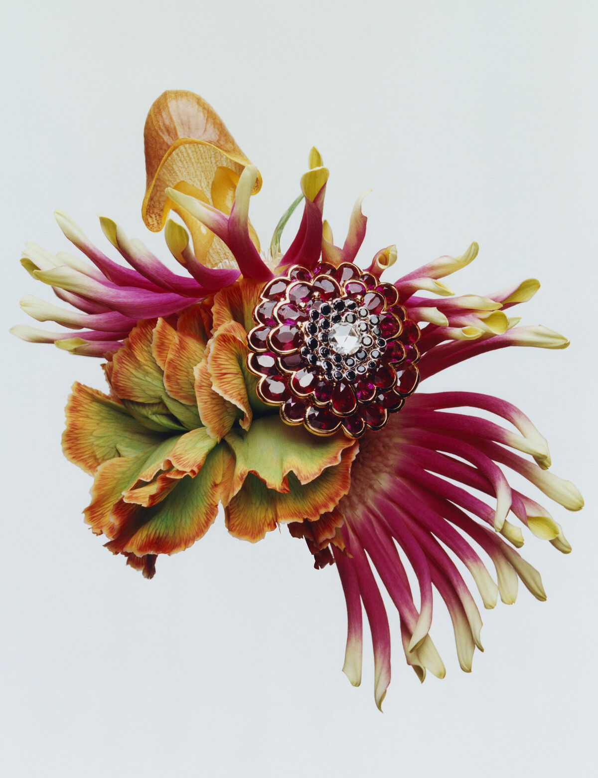 Harpers Bazaar - © Charles Negre