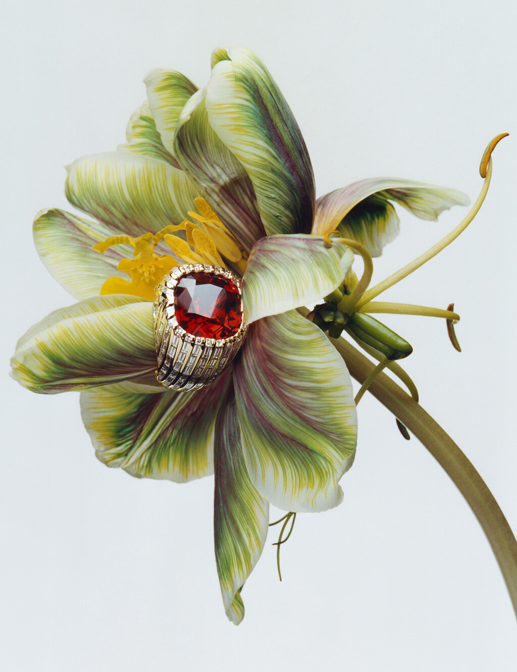 Harpers Bazaar - © Charles Negre