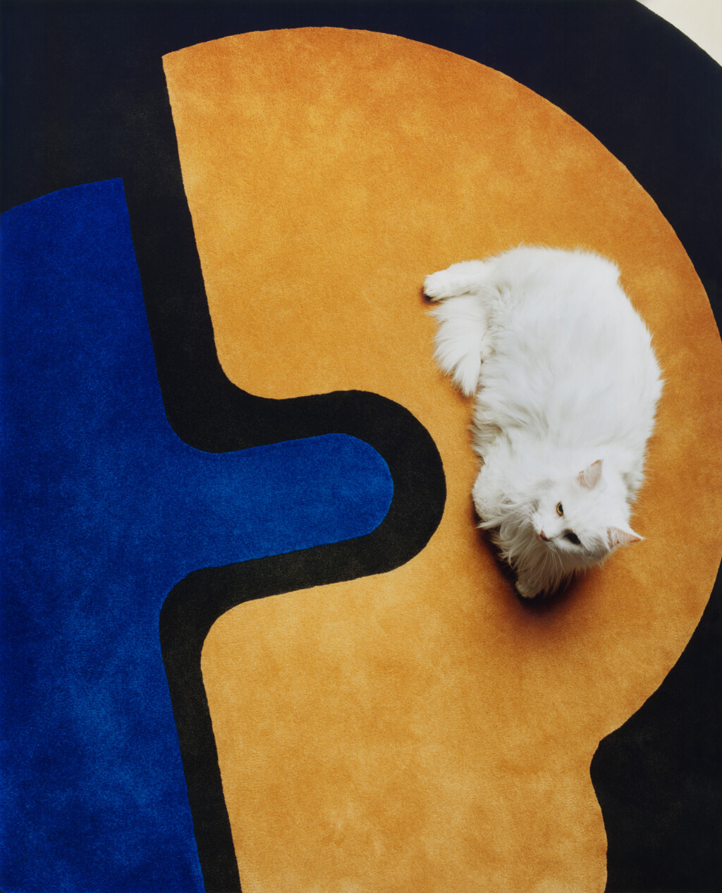 M le Monde - © Charles Negre